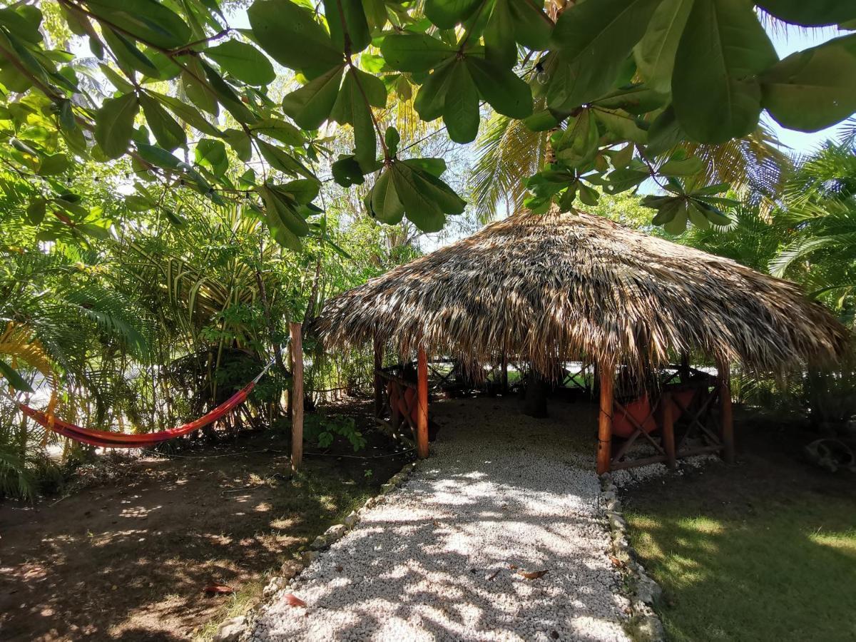 Tropical Villas At Los Corales Beach - Caribbean Rentals Fzco Punta Cana Eksteriør billede